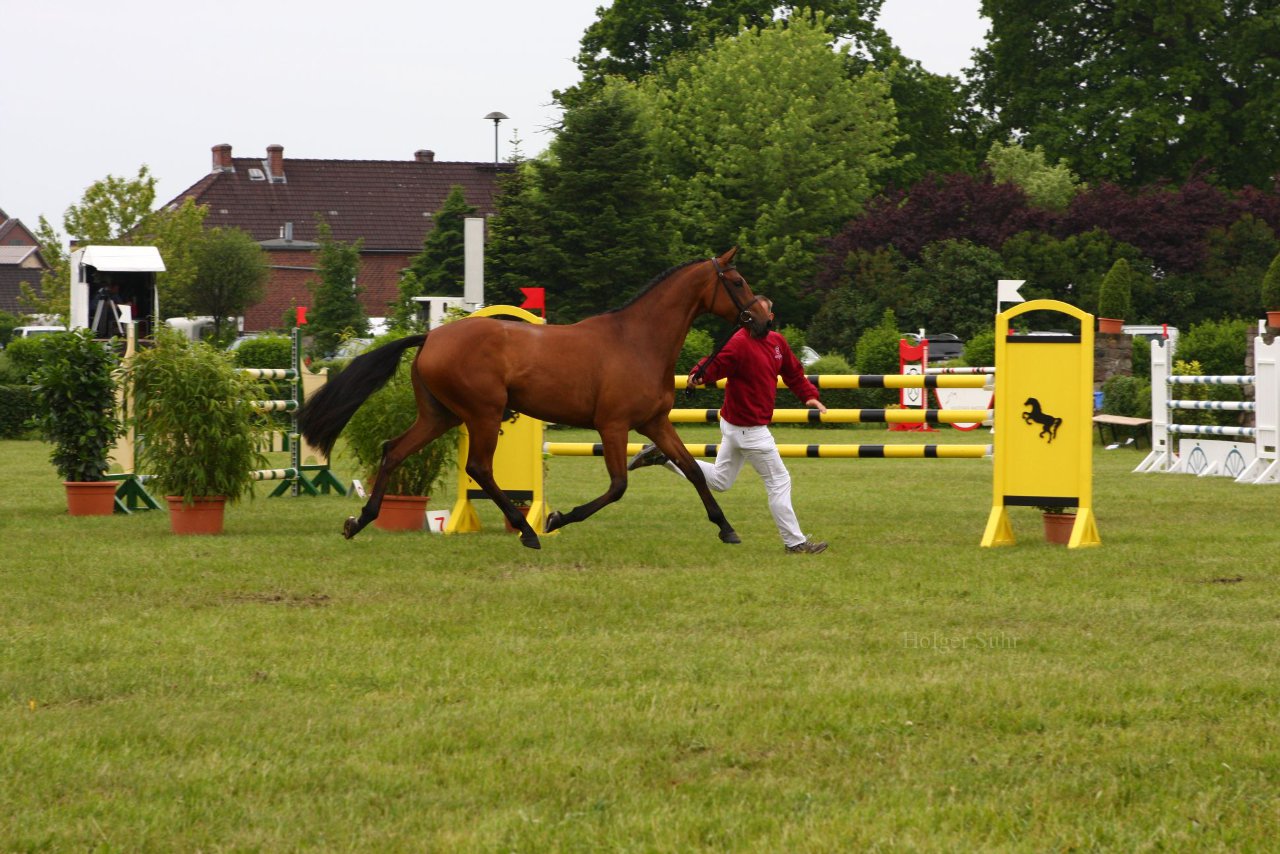 Bild 47 - Elmshorn am 9.6.10